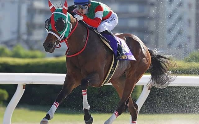 【高知・黒船賞 13時時点オッズ】ラプタスが単勝1.7倍の1番人気　ヘリオス、イグナイターと続く