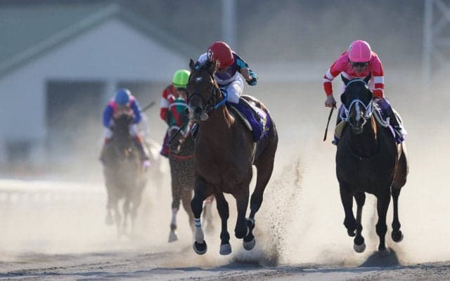 【黒船賞】地方所属 イグナイターがJRA勢撃破