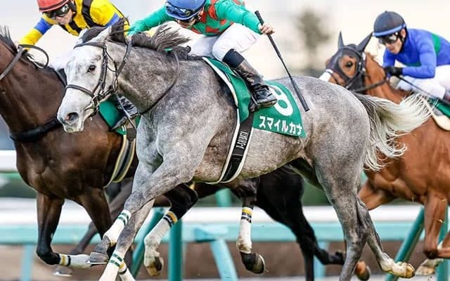 スマイルカナが引退、ターコイズSなど重賞2勝　今後は繁殖入りを予定