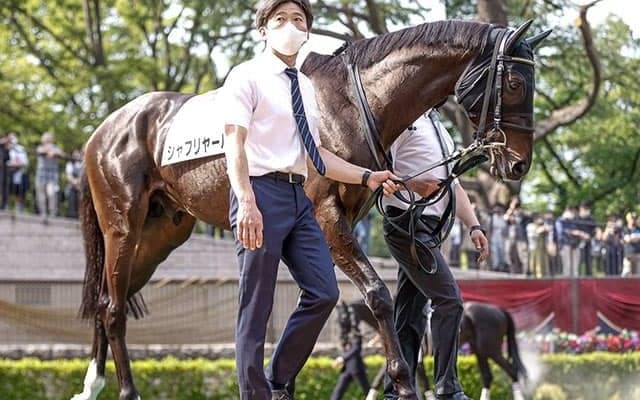 ダービー馬シャフリヤールなど　ドバイWCデーに出走予定の日本馬16頭が現地に到着