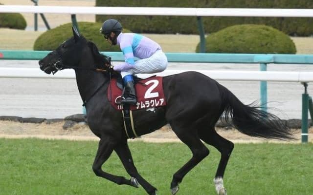【次走】フィリーズレビュー2着のナムラクレアは桜花賞へ