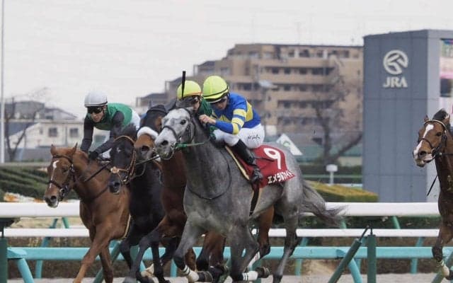 エメラルファイトが競走馬登録抹消