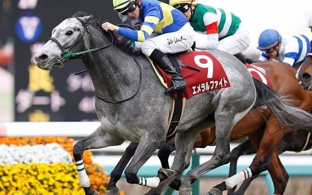 【JRA】2019年スプリングS覇者エメラルファイトが船橋競馬に移籍へ