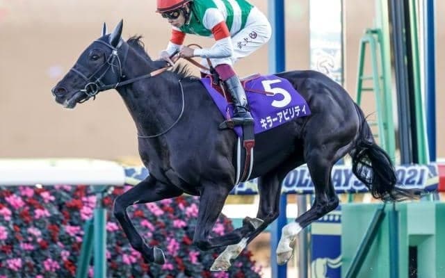 【次走】キラーアビリティは皐月賞へ　15日に栗東に帰厩