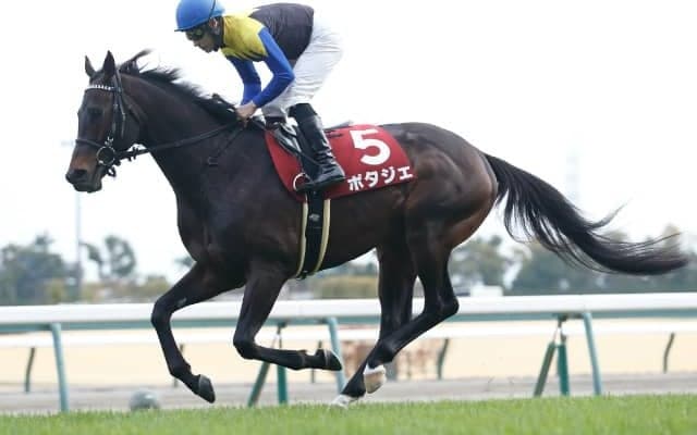【次走】ポタジェは状態を見ながら大阪杯へ 前走の金鯱賞では4着