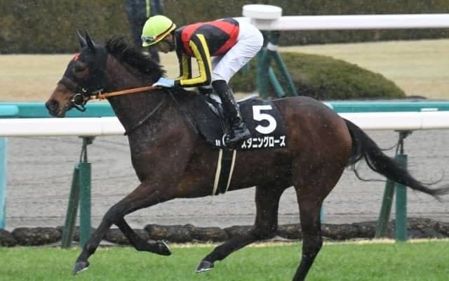 【フラワーC出走馬・騎手確定】スタニングローズ＆川田将雅騎手、シンティレーション＆横山武史騎手など12頭