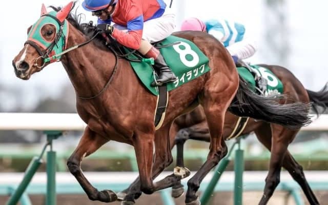 【次走】ライラックは福永祐一騎手との新コンビで桜花賞へ