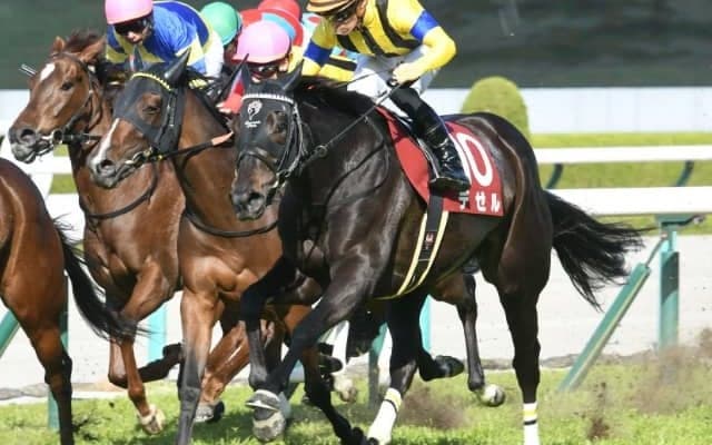 【次走】デゼルは連覇のかかる阪神牝馬Sへ