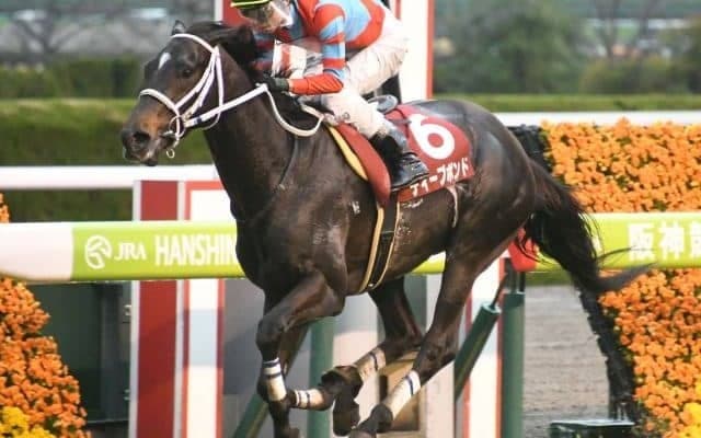 【阪神大賞典枠順確定】ディープボンドは7枠11番、マカオンドールは6枠9番