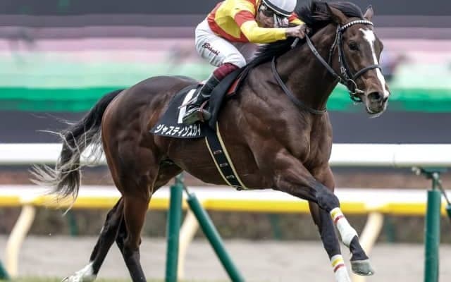 【次走】2連勝中のジャスティンスカイは青葉賞へ 鞍上は引き続き横山武史騎手