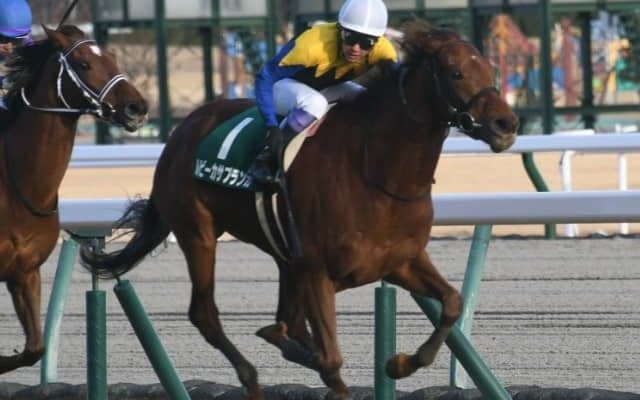 【次走】ルビーカサブランカは福島牝馬Sへ 今年の愛知杯で重賞初制覇