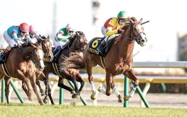 【今日の注目ポイント】中京でGIII・ファルコンS、阪神では皐月賞トライアル・若葉S