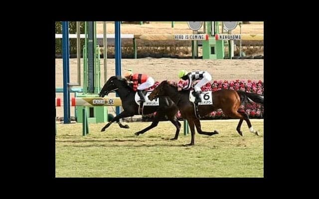 スプリングＳで馬券に絡む馬には必須条件がひとつある。それをクリアした５頭が狙い目