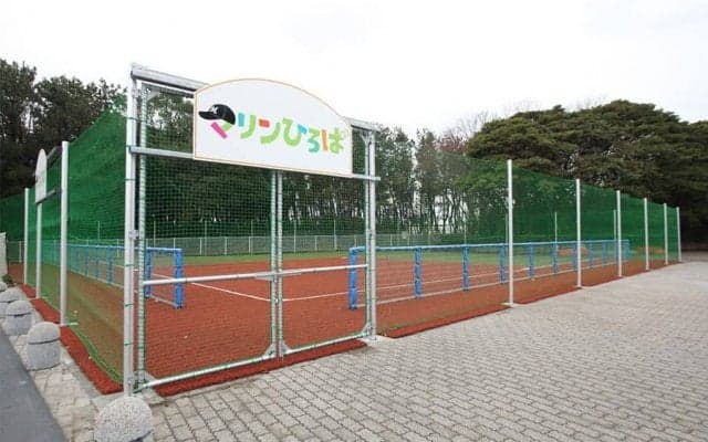 ロッテが「マリーンズ・キッズボールパーク」開催　全8日程、未就学児から小6まで対象