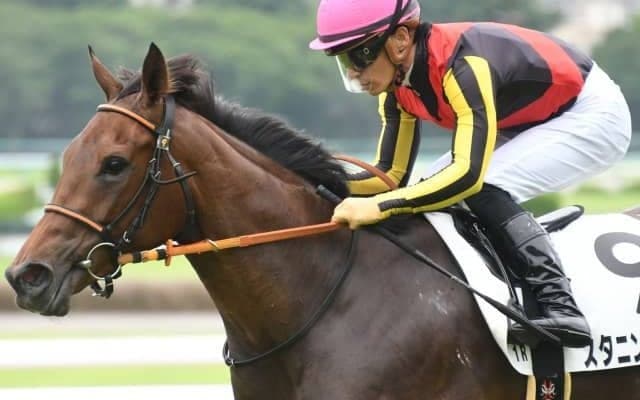 【フラワーC枠順確定】スタニングローズは1枠1番、シンティレーションは3枠3番