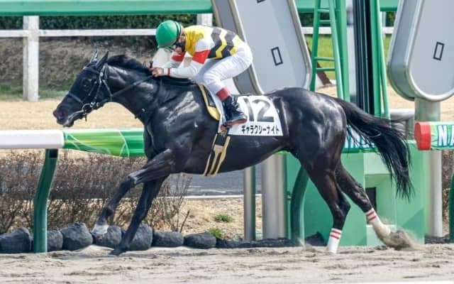 【次走】2連勝中のギャラクシーナイトは兵庫CSへ