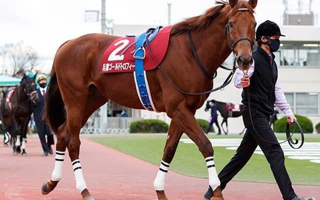 【マーチS想定】かしわ記念覇者ワイドファラオ、堅実さ光るブルベアイリーデ・オメガレインボーなど24頭