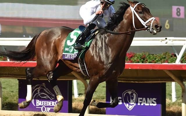 【ドバイWC 出走見込馬】米国ダート王者ライフイズグッド、日本馬チュウワウィザードなど