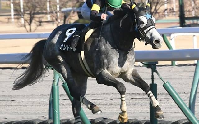 【阪神大賞典予想】長丁場で堪える!? 巧者でも超えられない「○○」の壁