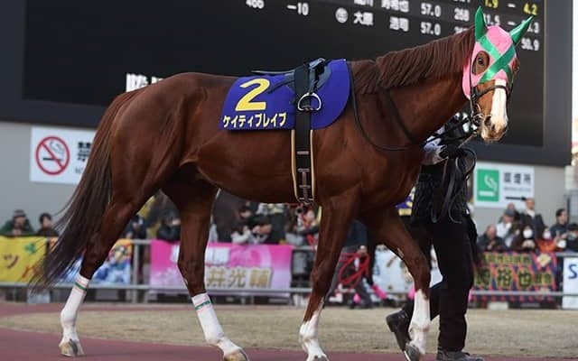 【JRA】9歳馬ケイティブレイブが左前浅屈腱炎、2018年JBCクラシックなどJpnI・3勝