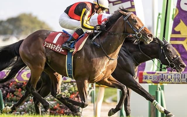 【ドバイターフ 出走見込馬】日本馬シュネルマイスターが人気の中心