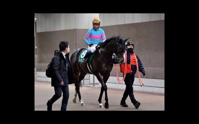 スプリングＳを穴党記者が徹底検証。タフな条件で強さを発揮しそうな伏兵２頭に大駆けの予感