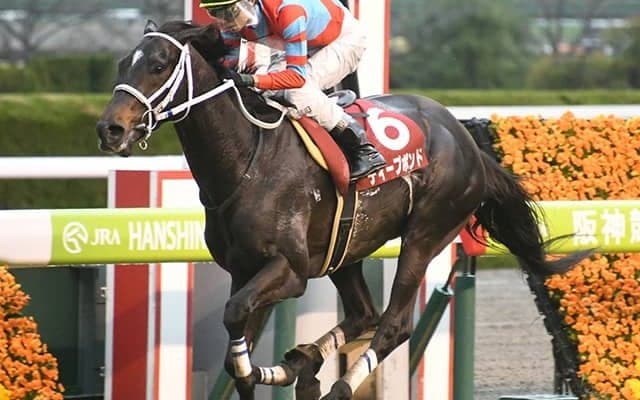 【AI予想・阪神大賞典】逆にまさかの「◎」!? 人工知能が導き出した「期待を裏切る」本命馬とは