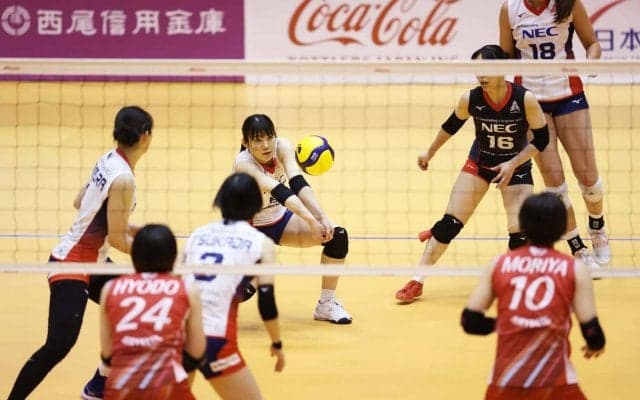 Vリーグの試合結果一覧と順位（V1男女・3月19日）