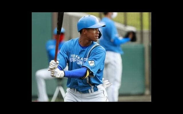 万波中正、佐藤輝明、清宮幸太郎、根尾昂、安田尚憲……名コーチが期待のスラッガー５人の長所・課題を診断