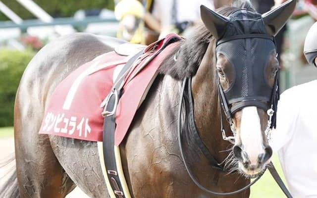 【阪神大賞典】13着ダンビュライトは心房細動を発症
