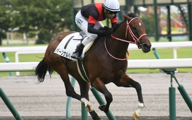 【フラワーC】パーソナルハイ陣営「ディープらしいバネ。成長を感じる」/ねぇさんのトレセン密着