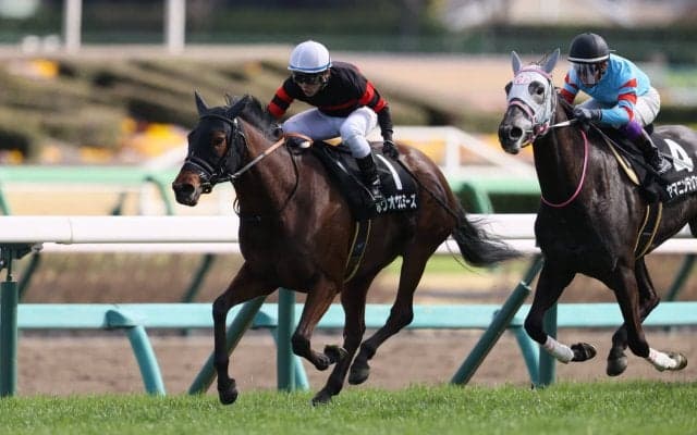 【スピカS】良血ホウオウエミューズがオープン入り