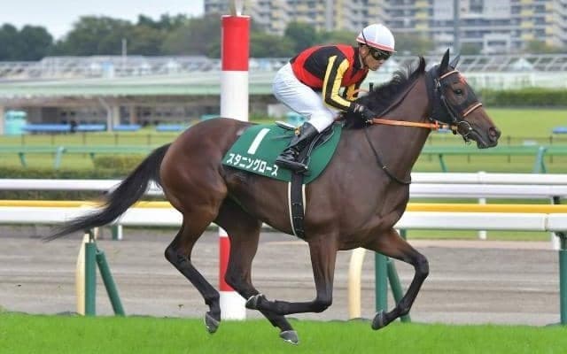 【今日の注目ポイント】中山で3歳牝馬重賞・フラワーC