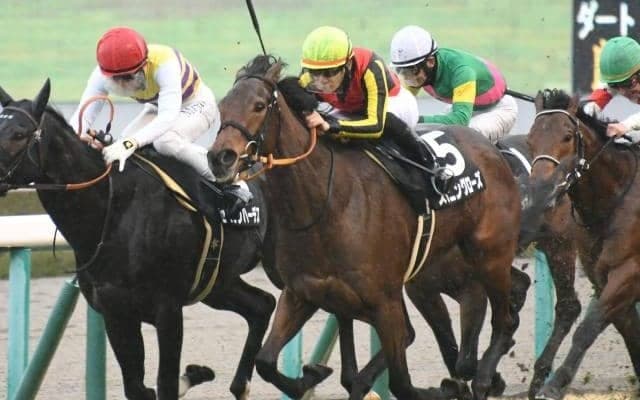 【フラワーC予想】秋以降に向けての力試し的一戦 器用さを持つ馬が好走しやすい