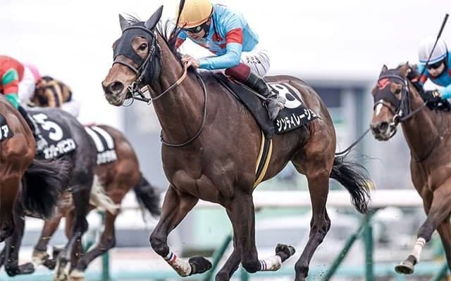 【フラワーC・馬体重】シンティレーションは458kg(-4)、スタニングローズは474kg(-2)
