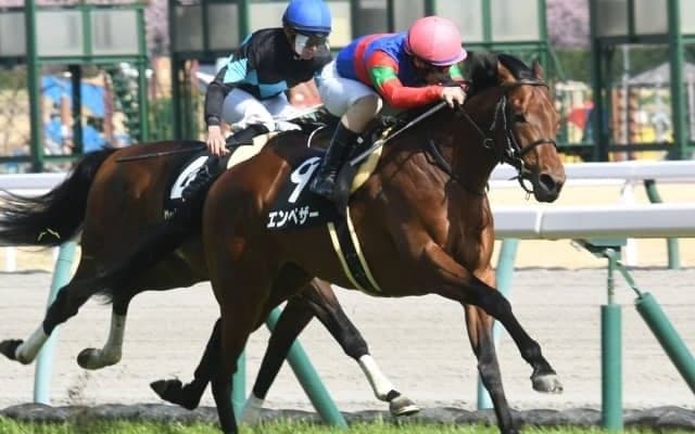 【フローラルウォーク賞結果】エンペザーが2番手から押し切り連勝