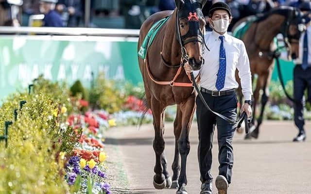 【フラワーC】スタニングローズがV、“薔薇一族”ローザネイ牝系10年ぶり重賞制覇