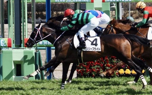 【中山7R】西田厩舎初勝利！リリーブライトが差し切る