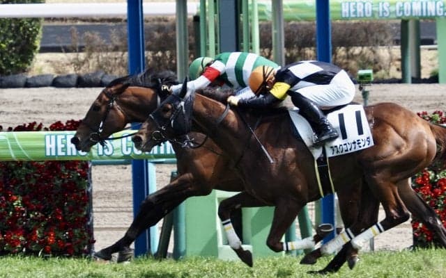 【中山6R】ドレフォン産駒 サーマルウインドが2勝目