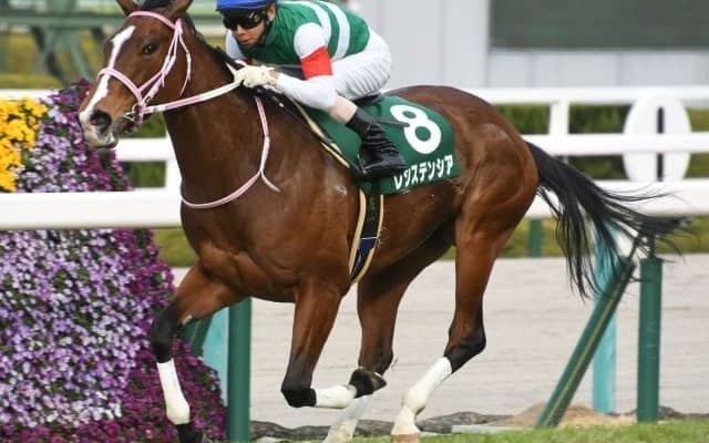 国内はGI高松宮記念、海外ではドバイWCデー/今週の競馬界の見どころ