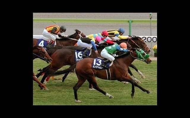 ウマ娘では一流を目指すキングヘイロー。実際も、GⅠ勝利まで21戦挑み続けた超良血馬