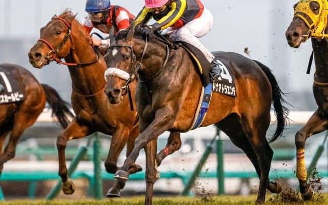 【先週のJRA抹消馬】三冠牝馬の全妹ドナアトラエンテ、ダービー馬の全姉ミンネザングなど
