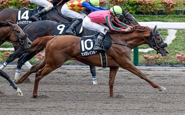 【マーチS想定騎手】オメガレインボーは横山和生騎手、ブルベアイリーデは戸崎圭太騎手