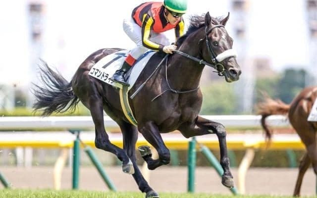 【毎日杯展望】後の活躍馬多数の出世レース、あの馬の巻き返しを期待したい