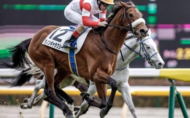 【次走】高額馬ダノンギャラクシーは青葉賞へ