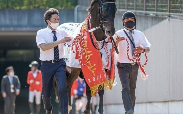 【ドバイシーマクラシック枠順】シャフリヤール8番、オーソリティ10番ゲート