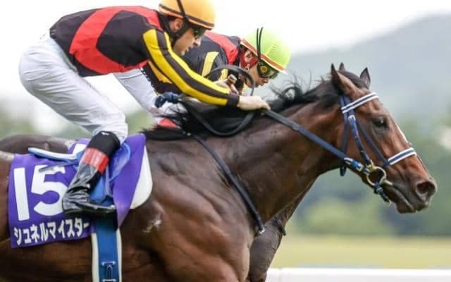 【ドバイターフ枠順】シュネルマイスター4番、パンサラッサ12番ゲート