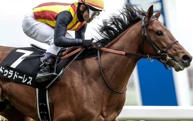 【毎日杯予想オッズ】ドゥラドーレスが予想1番人気