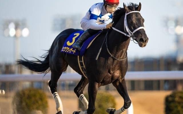 【ドバイワールドカップ枠順】チュウワウィザード3番、ライフイズグッド1番ゲート