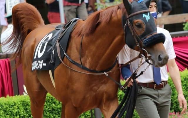 【マーチS予想オッズ】オメガレインボーが予想1番人気